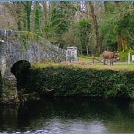 فندق Hillcrest Farmhouse Laune Bridge المظهر الخارجي الصورة